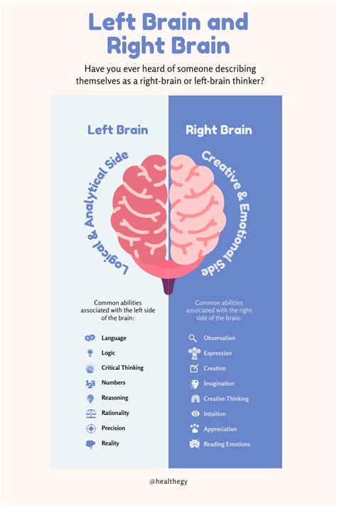 Left Brain And Right Brain