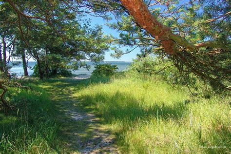 Halbinsel Zudar malerische Naturstrände der Insel Rügen