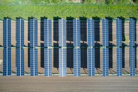 Nuevo sistema agrovoltaico y componentes de base biológica