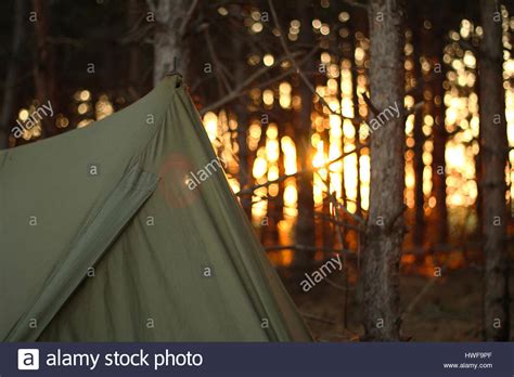 Camping Tent In The Forrest Stock Photo Alamy