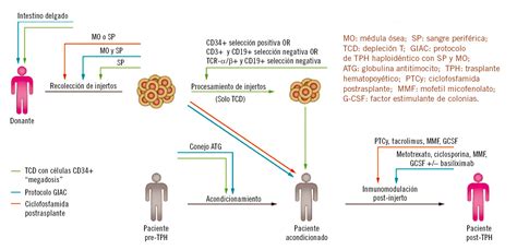 Oncolog A Pediatr A Integral