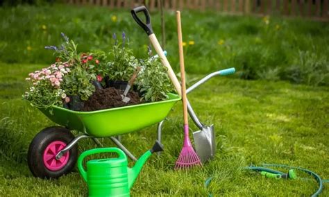 Essential Gardening Tools For Beginners