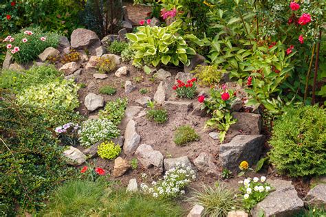 15 Idee Per Un Giardino Roccioso Da Sogno Lasciatevi Incantare