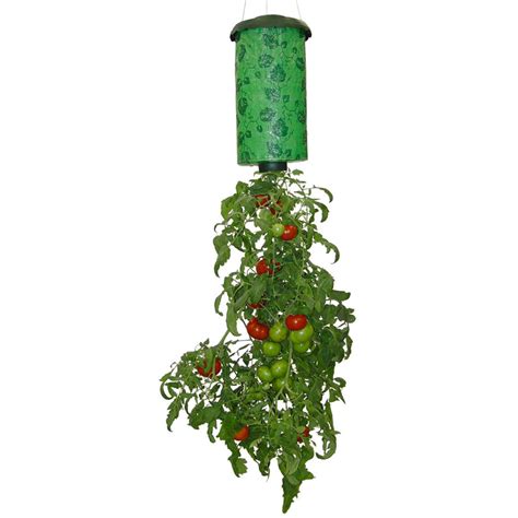 Topsy Turvy Upside Down Tomato Flower And Vegetable Planter The