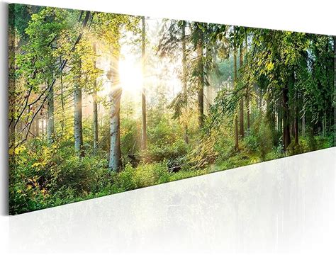 Amazon De Murando Bilder Landschaft X Cm Vlies Leinwandbild