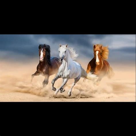 Three Horses Running Canvas Wall Painting at Rs 1799.00 | Horse ...