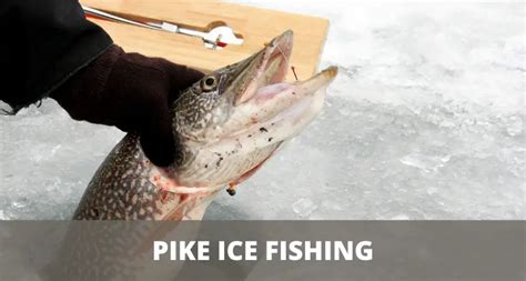 Ice Fishing For Pike (Everything You Need To Know)