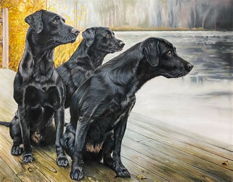 Black Labradors Lindford Hampshire Pet Portrait Artist Tricia