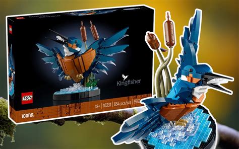 LEGO Icons 2024 Kingfisher Official Images Revealed