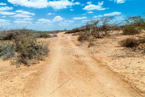 La Guajira desert stock image. Image of coast, rock - 132324741