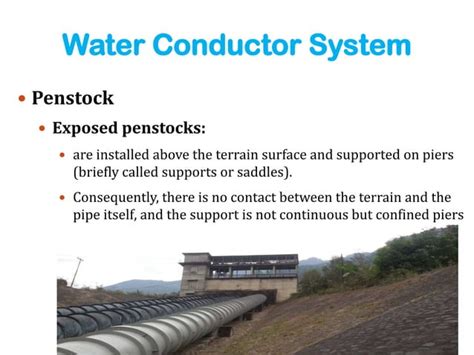 Elements Of Water Conductor System Ppt