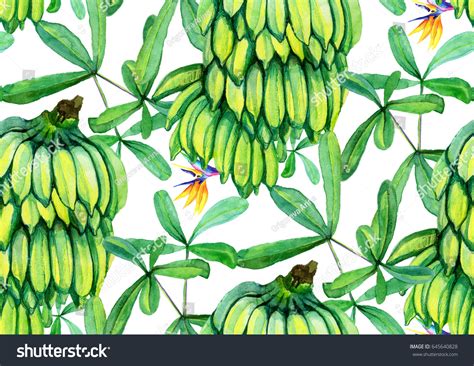 Tropical Seamless Pattern Bananas Banana Leaves Stock Illustration 645640828 Shutterstock