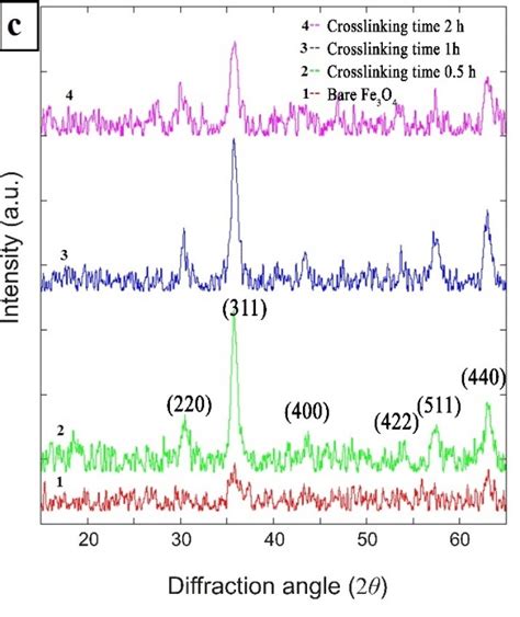 Xrd Pattern Of Chitosan Fe 3 O 4 Nanoparticle With Variationt Of A Download Scientific