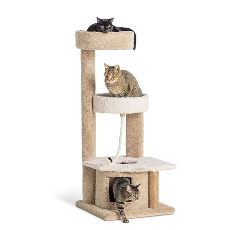 Whisker City® 48-in Cozy Climber Cat Tower (COLOR VARIES)