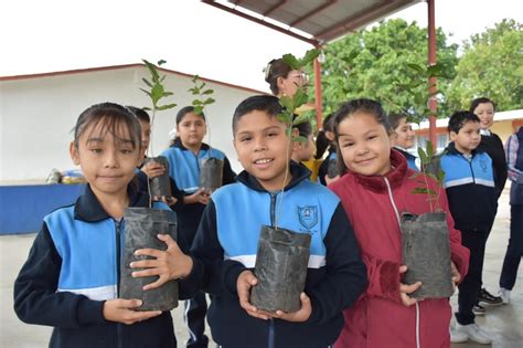 Reforesta Municipio Rea Verde En Escuela Primaria