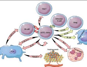 Editors Choice Archives Of Cancer Biology And Therapy