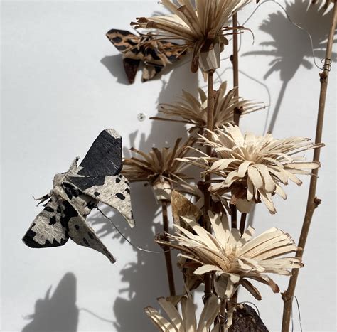 Hidden Sculpture Garden and Gallery.