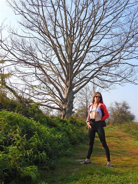 Tits N Pussy Pics XHamster