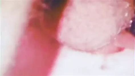 Free S Porn Videos XHamster