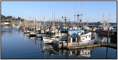 Travel North America United States Oregon Newport Port Docks