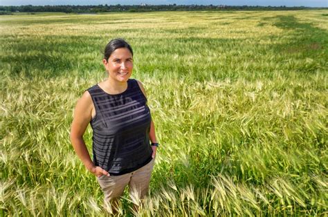 Usask Project To Improve Soil Health Through Knowledge Sharing Network