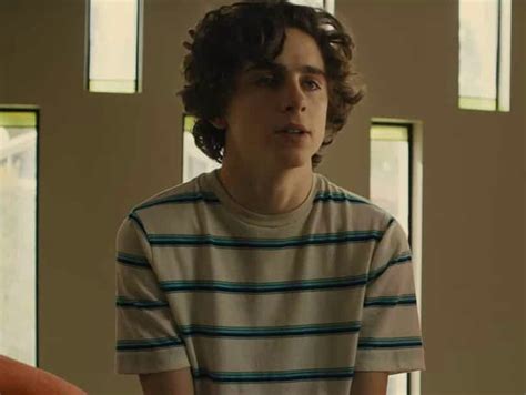 timothee chalamet  nic sheff   upcoming  beautiful boy