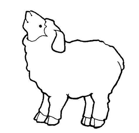 Free Sheep Pictures For Kids Download Free Sheep Pictures For Kids Png