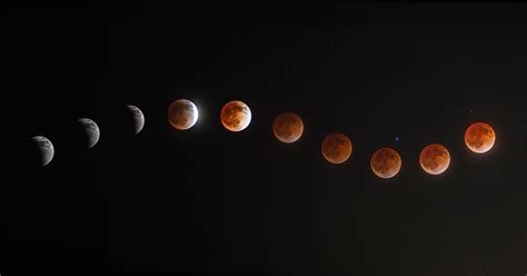 Blood Moon Eclipse Over Feathers Astrophotography Print Prints Digital