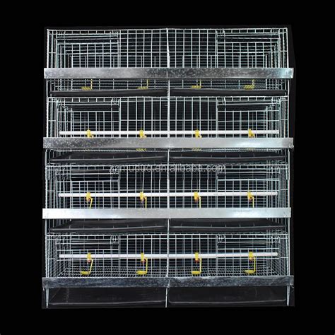 H Type Chicken Brooder Layer Cage Broiler 4 Layers Poultry Cages Day