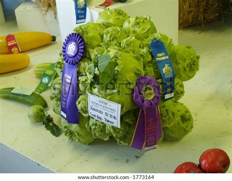 Prize Winning Vegetables Images Stock Photos Vectors Shutterstock