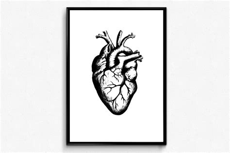 Heart Anatomy Print Anatomical Heart Art Geek Love Anatomy