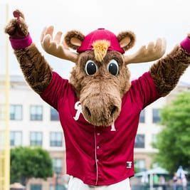 Bull Moose | Mascot Hall of Fame