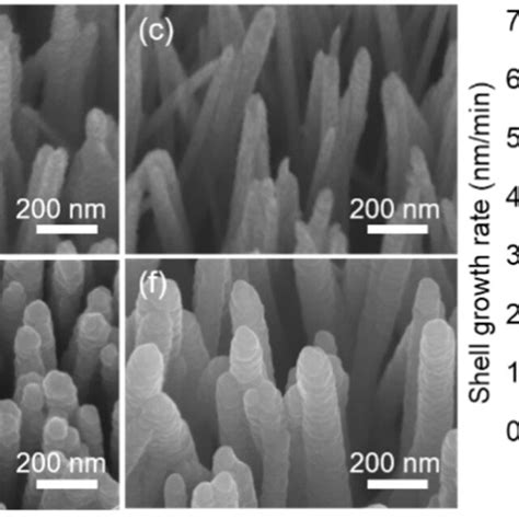 Ac Tilted Sem Images Of Vertically Aligned Zno Nws With A Si