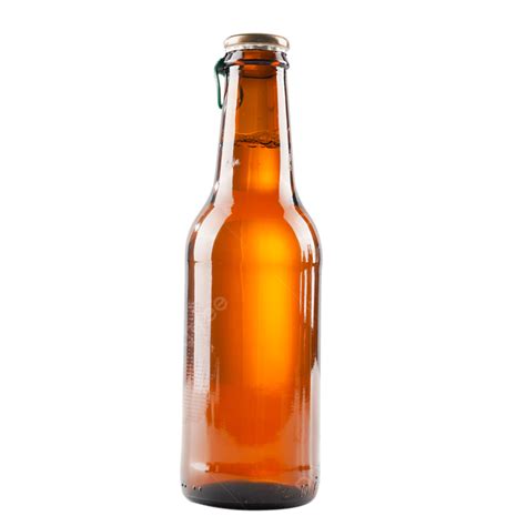 Cold Summer Drink Beer Summer Summer Beer Drink PNG Transparent