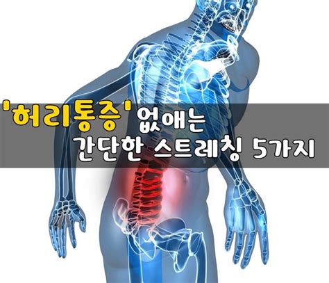 허리통증 없애는 간단한 스트레칭 5가지 오랜 좌식 업무를 인한 허리 결림과 통증 또한 평소 자주 허리가 아프신 분들을 위한