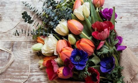 3 bouquets pour célébrer le printemps M6 Deco fr