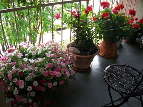 Pretty Potted Plants Balcony Gardening Small Balcony Garden