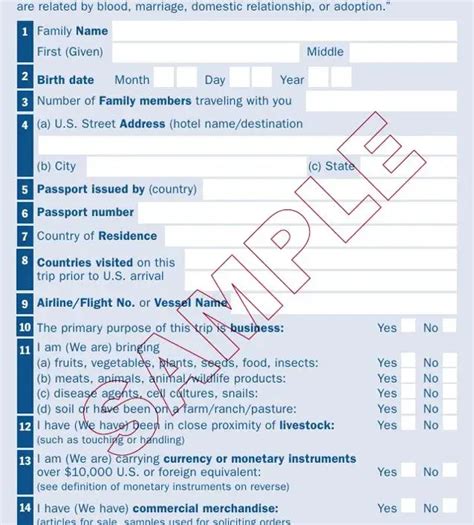 Sample Us Customs Form ≡ Fill Out Printable Pdf Forms Online