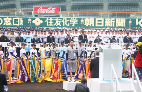 【センバツ】甲子園で開会式のリハーサルを実施 出場32校の選手らが入場行進を行う センバツ写真ニュース 日刊スポーツ