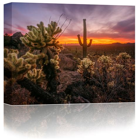 Tucson Mountain Park Sunset 2020 - Tucson Sound Art