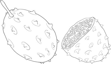 Premium Vector Kiwano Fruits Cucumis Metulifer Horned Melon Vector