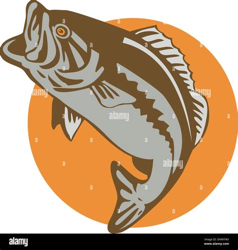 Illustration Of A Largemouth Bass Jumping Done In Retro Style Stock Vector Image And Art Alamy