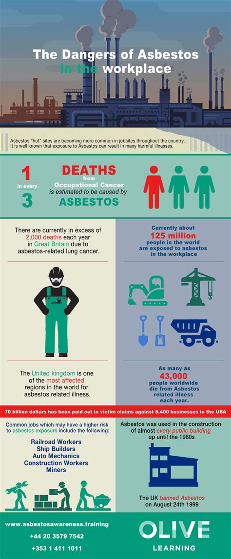 Asbestos Awareness Training [infographic] Infographic Plaza