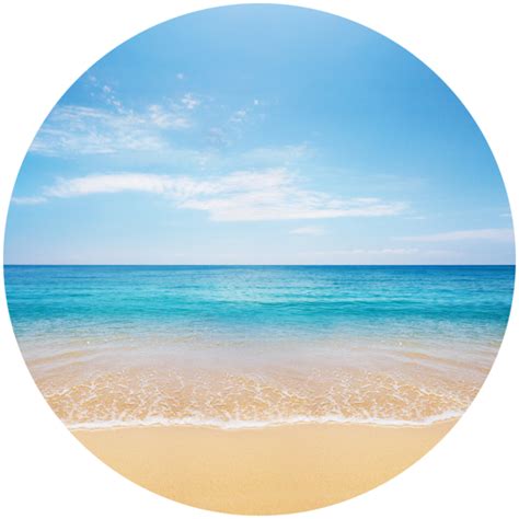 Beach Shore Clip art - beach png download - 768*768 - Free Transparent ...