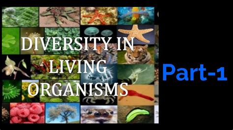 Diversity In Living Organisms All Important Mcq S Youtube