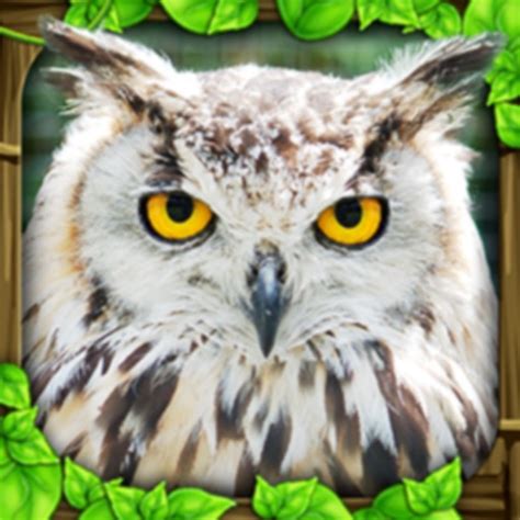 Owl Simulator By Gluten Free Games