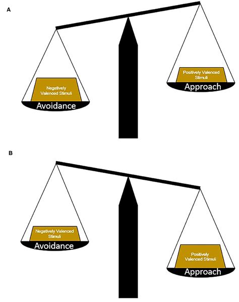 Frontiers Arbitration Of Approach Avoidance Conflict By Ventral