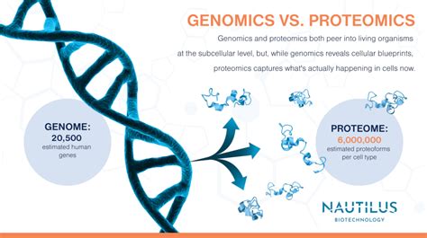 Genomics vs. proteomics: Two complementary perspectives on life ...