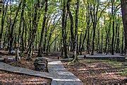 Category:Forests in Azerbaijan - Wikimedia Commons