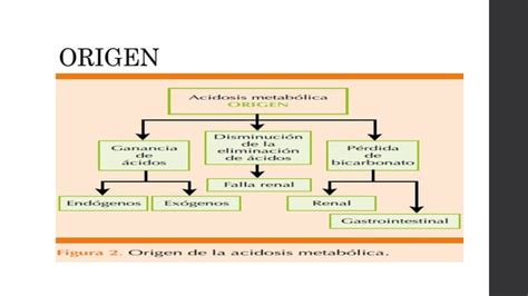 ACIDOSIS Y Alcalosis Metabolica Gasometria Pptx